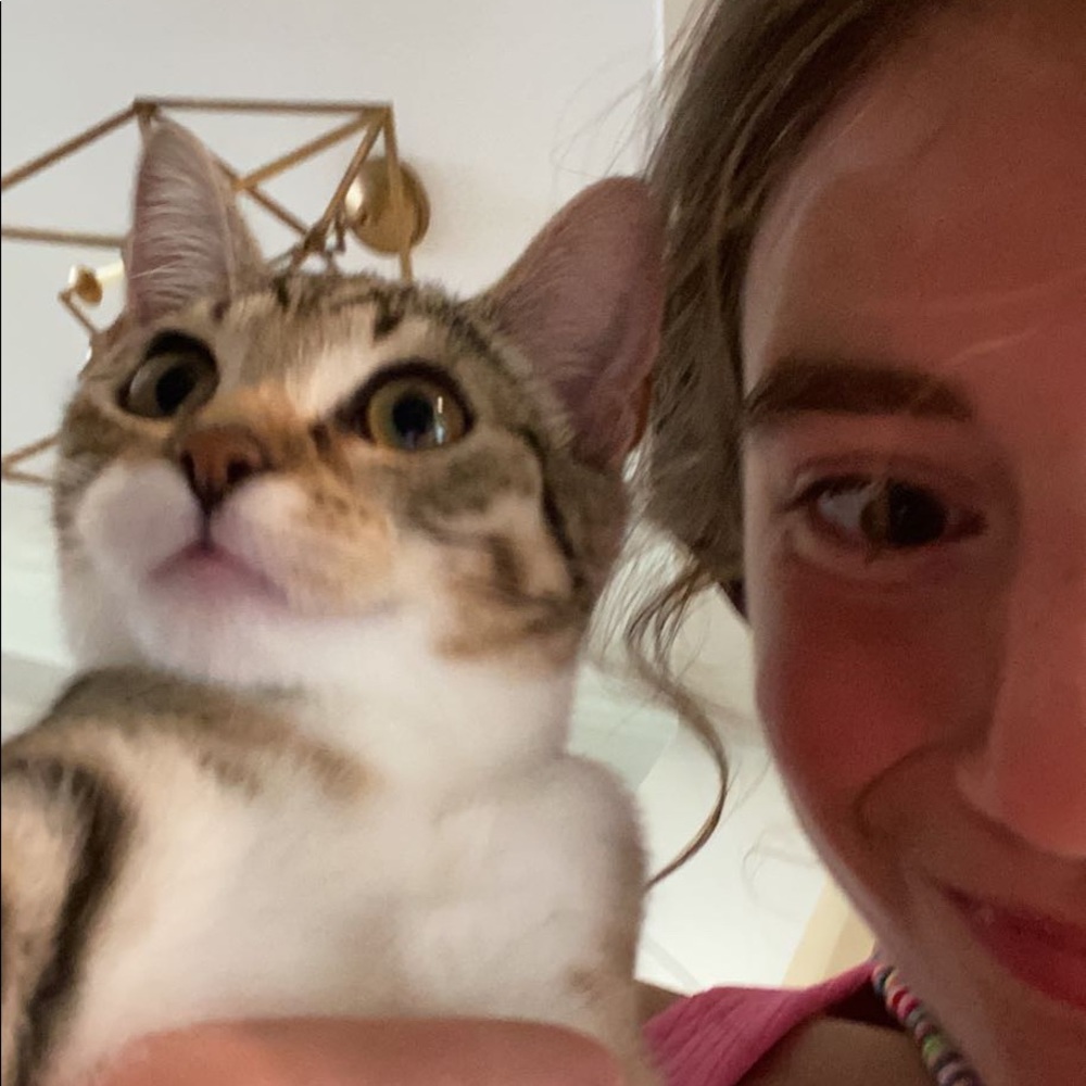 Meet your Posher, Dodie